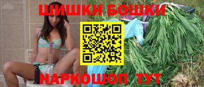 прущие грибы Будённовск