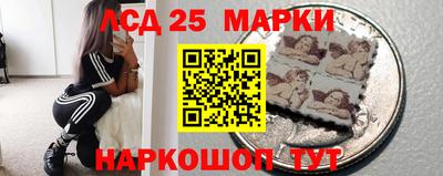 прущие грибы Будённовск