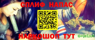 прущие грибы Будённовск