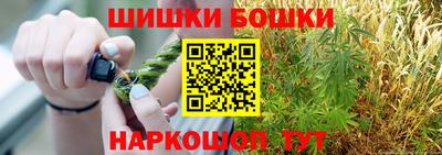 прущие грибы Будённовск