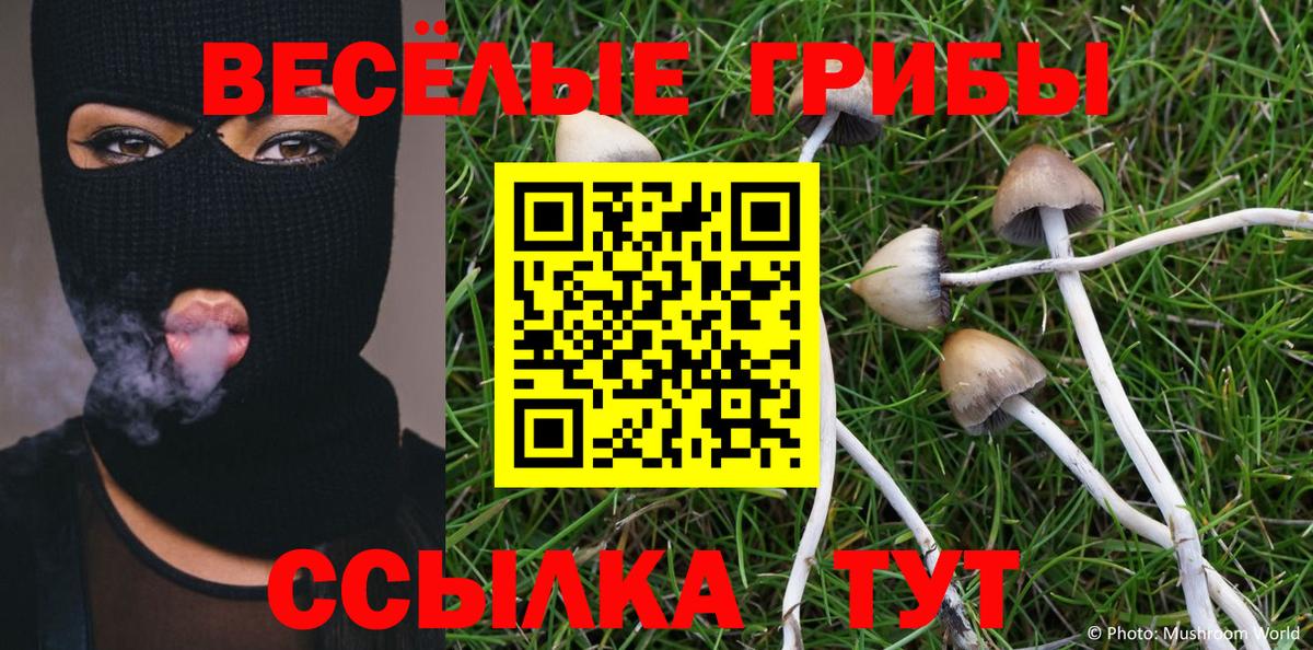 Псилоцибиновые грибы MAGIC MUSHROOMS Богородицк