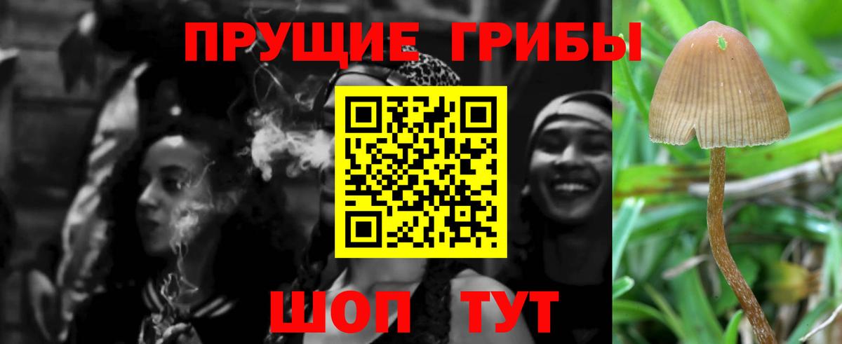 Псилоцибиновые грибы Psilocybine cubensis  Вход с VPN  Богородицк 
